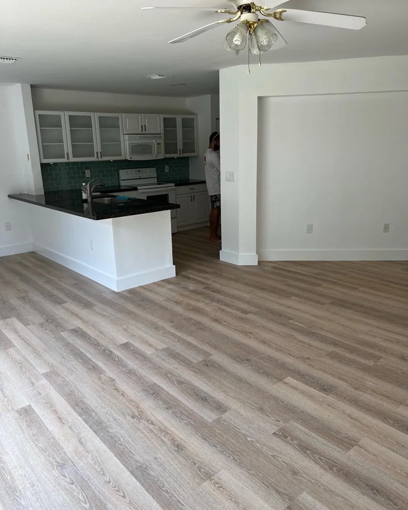 Kitchen and living